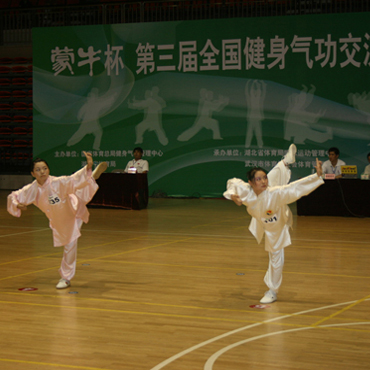 武林秘傳強身功法都有哪些內(nèi)容