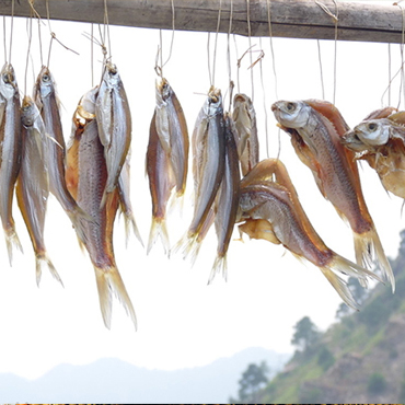 補(bǔ)鈣多吃海藻和小魚